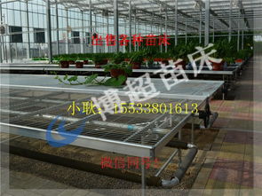 安平廠家出售移動苗床,固定苗床,苗床配件等 ,安平廠家出售移動苗床,固定苗床,苗床配件等 生產廠家,安平廠家出售移動苗床,固定苗床,苗床配件等 價格