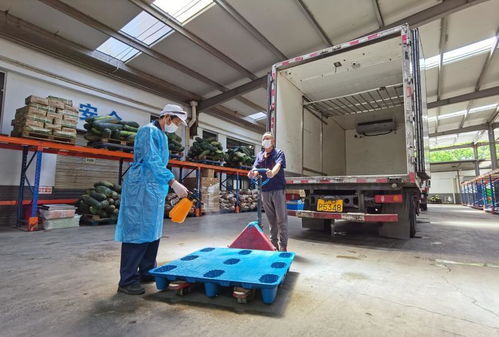 開學在即,學生餐能否安全放心 監管部門今天突檢,看到這種毛巾松了口氣