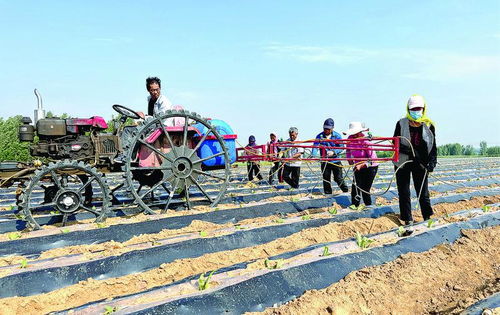 管 出煙田新氣象