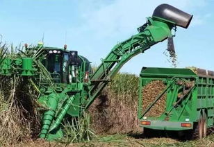 大局已定 今天起,昆明將發生翻天覆地的變化