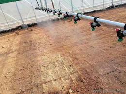 育苗噴灌設備批發-可靠的育苗噴灌設備