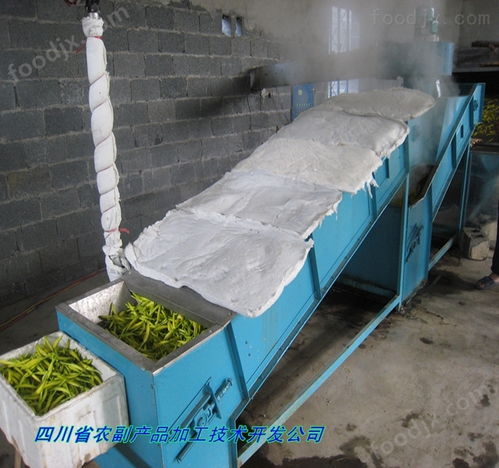 大同黃花菜烘干生產線 果蔬加工成套設備