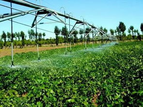 重磅 鹽城這16個地區被國家看上,將獲重點扶持...