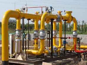 河北加氣站設備廠家供應 專業的lng調壓撬供應商