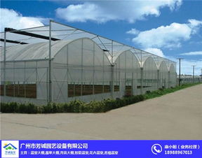 花卉大棚,芳誠溫室,水培花卉大棚