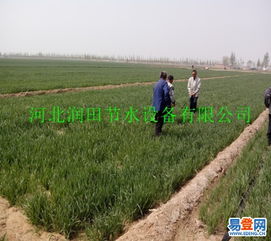 晉城市生產銷售優質噴灌設備 沁水縣出水帶與微噴帶質優價廉