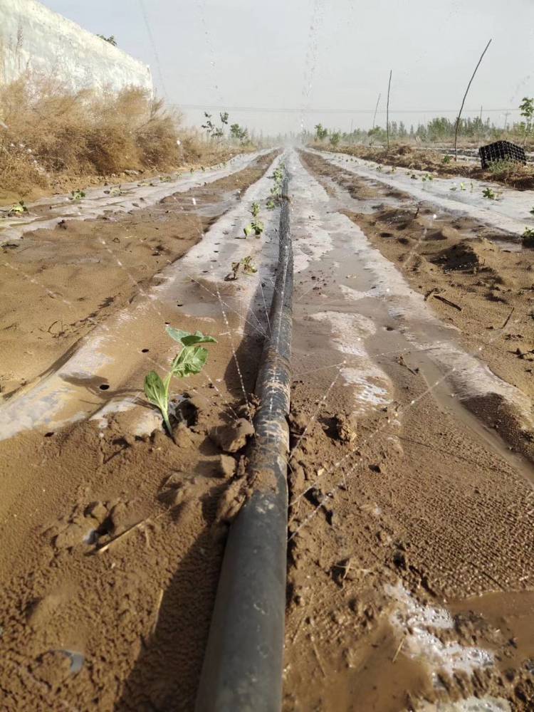一寸微噴帶與28噴灌水帶 山東沁噴灌設備批發零售詳解