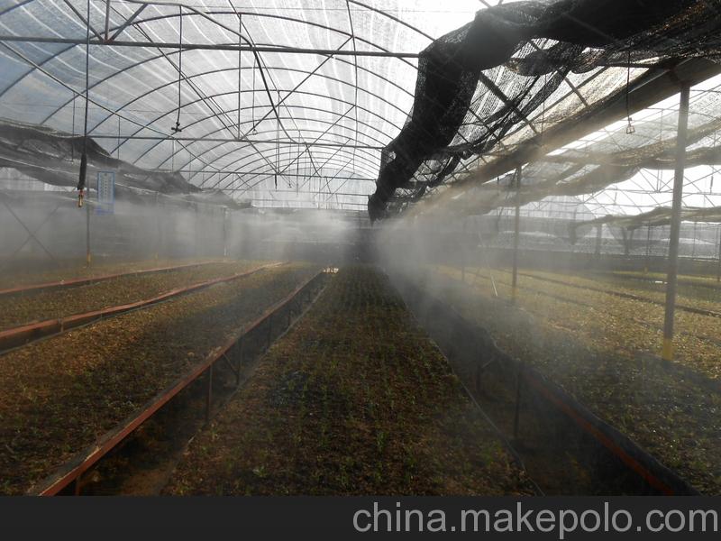 石斛大棚種植專用霧化噴頭 降溫加濕高效解決方案