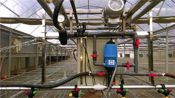 高效節水，智能控制——邯鄲興峰噴灌機引領溫室農業現代化