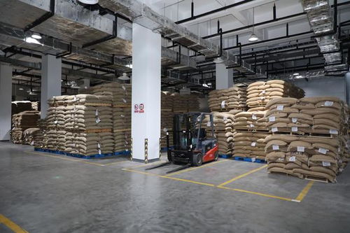 從臉盆喝咖啡到被咖啡包圍 昆山咖啡產業的三十年變遷